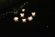 Na hladině rybníčku pluly svítící květy