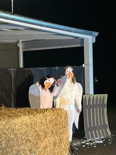 Masky svatomartinských husí